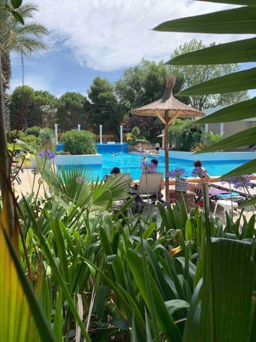 Appartement Cosy Confort Parking Clim Wifi Linge Acces Piscine Non Inclus 카네트 외부 사진