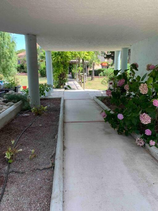 Appartement Cosy Confort Parking Clim Wifi Linge Acces Piscine Non Inclus 카네트 외부 사진